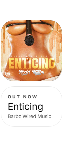 Cover art for Enticing by Model Million on Barbz Wired Music